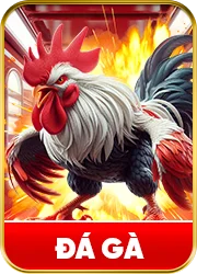 Đá gà 98win