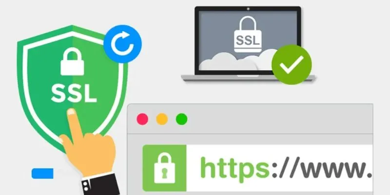 Hệ thống bảo mật SSL 256bit